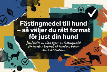 Professional header image for comparison analysis: Fästingmedel till hund – så väljer du rätt format för jus...