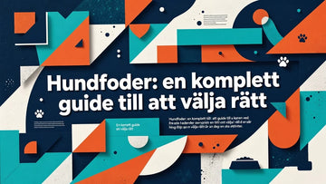 Professional header image for list-based article: Hundfoder: en komplett guide till att välja rätt
