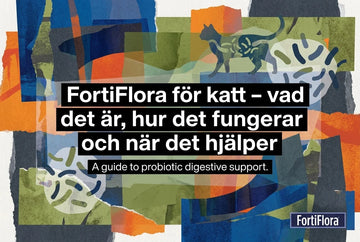 Professional header image for industry analysis: FortiFlora för katt – vad det är, hur det fungerar och nä...