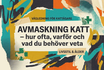 Professional header image for educational tutorial: Avmaskning katt – hur ofta, varför och vad du behöver veta