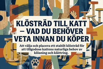 Professional header image for list-based article: Klösträd till katt – vad du behöver veta innan du köper