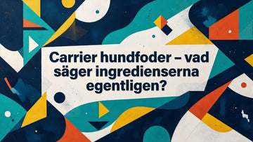 Professional header image for industry analysis: Carrier hundfoder – vad säger ingredienserna egentligen?