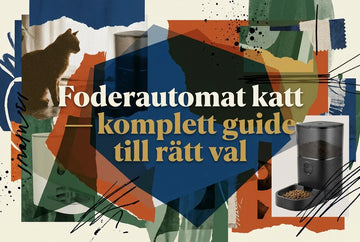 Professional header image for list-based article: Foderautomat katt – komplett guide till rätt val