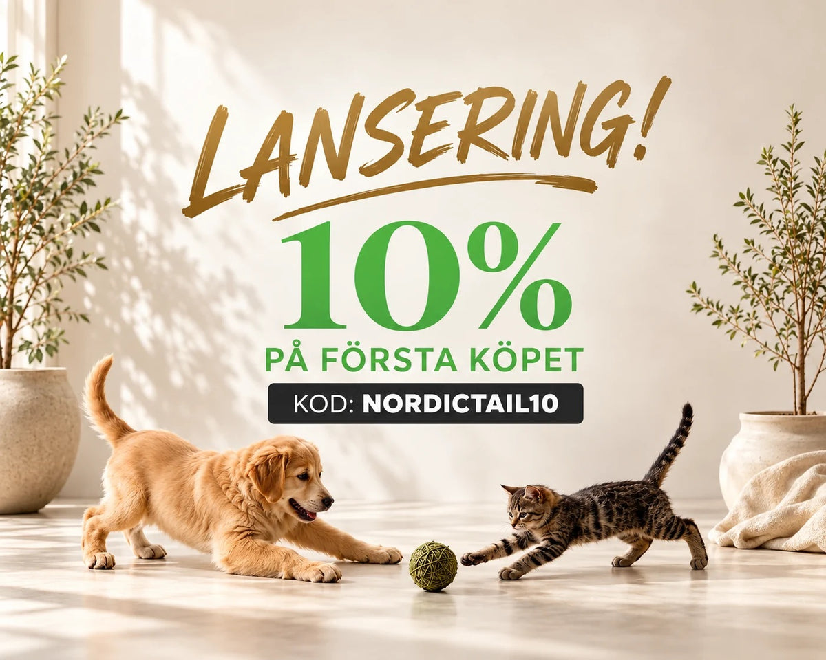 Hundvalp och kattunge leker med en boll – lansering med 10 % på första köpet med koden NORDICTAIL10